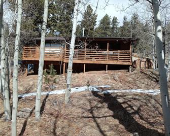 Bear Foot Getaway: Secluded Cabin With Hot Tub! 6 Miles From Cripple Creek - Cripple Creek - Außenansicht