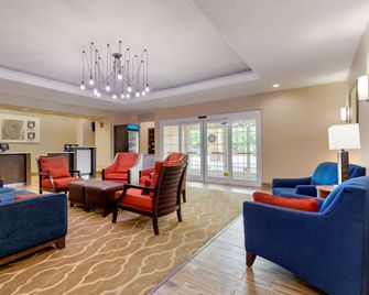 Comfort Inn and Suites Near Six Flags and Medical Center - San Antonio - Living room