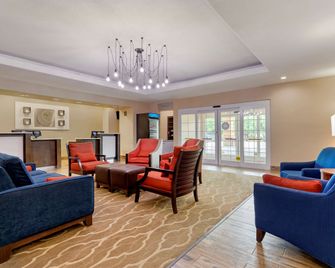 Comfort Inn and Suites Near Six Flags and Medical Center - סן אנטוניו - סלון