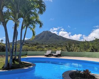 Private Villa on 2 Acres with Chef and Saltwater Pool - Gingerland - Piscina