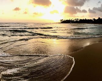Kiahuna Ocean View Ground Floor- in Unit Washer/dryer - Koloa - Beach