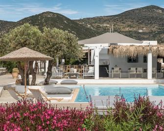 Verina Terra - Platis Gialos - Pool