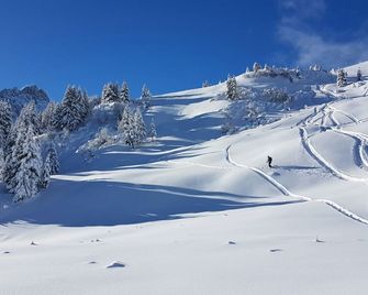 Chalet Praz sur Arly - Near. Megeve - Garden - Praz-sur-Arly - Prestation de l’hébergement