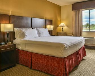 Holiday Inn Express & Suites Houston South - Near Pearland, An IHG Hotel - Pearland - Bedroom