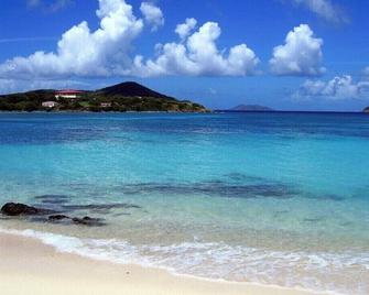 Renovated/new condo-Walk to Beach, Marina, Pools. Red Hook, Ferry, Bars near by! - Saint Thomas Island - Beach