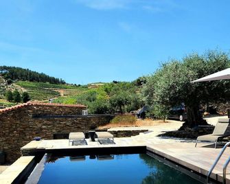 Quinta dos Piscos - Barcos