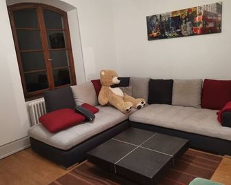 Les 5 écureuils - Holiday home in Alsace - sleeps 12 - Villé - Sala de estar