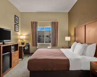 Comfort Inn Ogden near Event Center - Ogden - Schlafzimmer