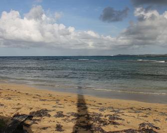 Sun, Beach, Nature and Peace. - Luquillo - Playa