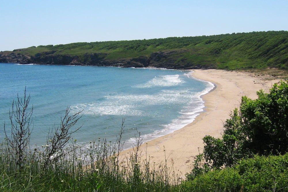 آستي آرتهوتل