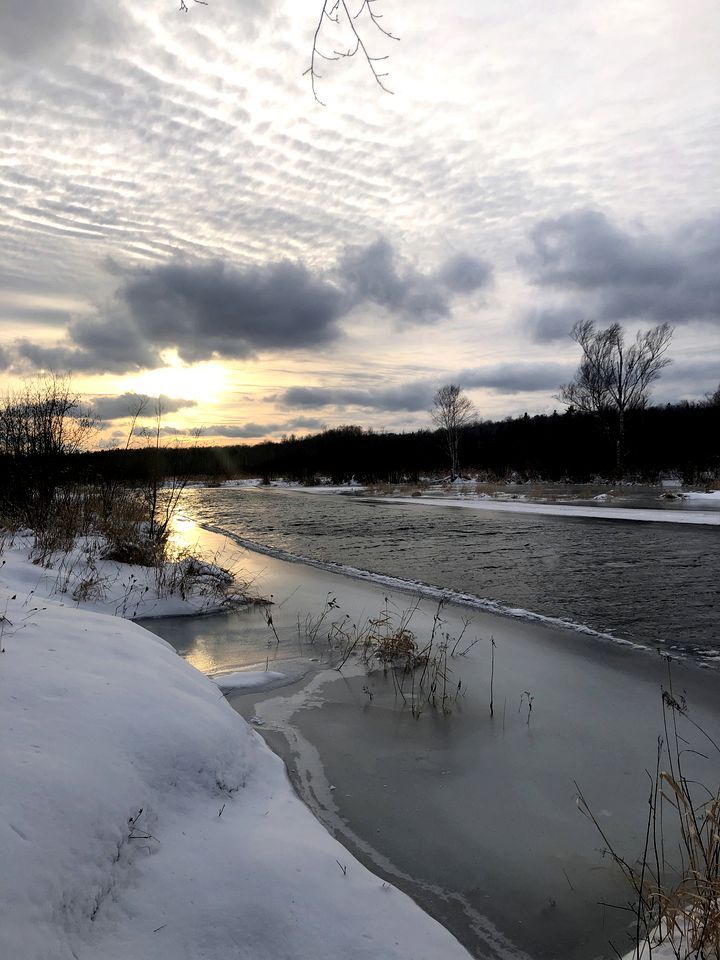 Pet-Friendly Yurt Escape in the Ontario Countryside - Perfect for Romantic Getaways in Tehkummah - Tehkummah - Vista externa