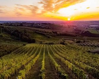 Villa Monty Banks - Superior Double Room 1 - Cesena