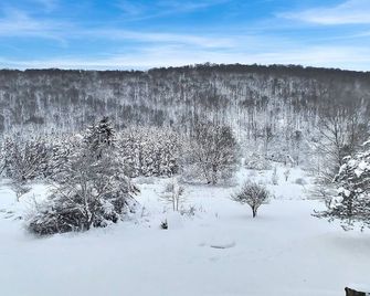 The Maples Apt - King Bed, Pet Friendly, Beautiful Views - Ellicottville - Vista del exterior