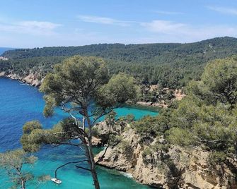 A l'ombre des Pins du Castellet - Le Castellet