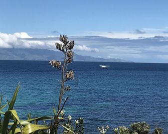 Tipi and Bob's Waterfront Lodge - Great Barrier Island - Vista del exterior