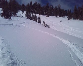 Charming Retreat in High Sierra. Fantastic Views! - Kirkwood - Servicio de la propiedad