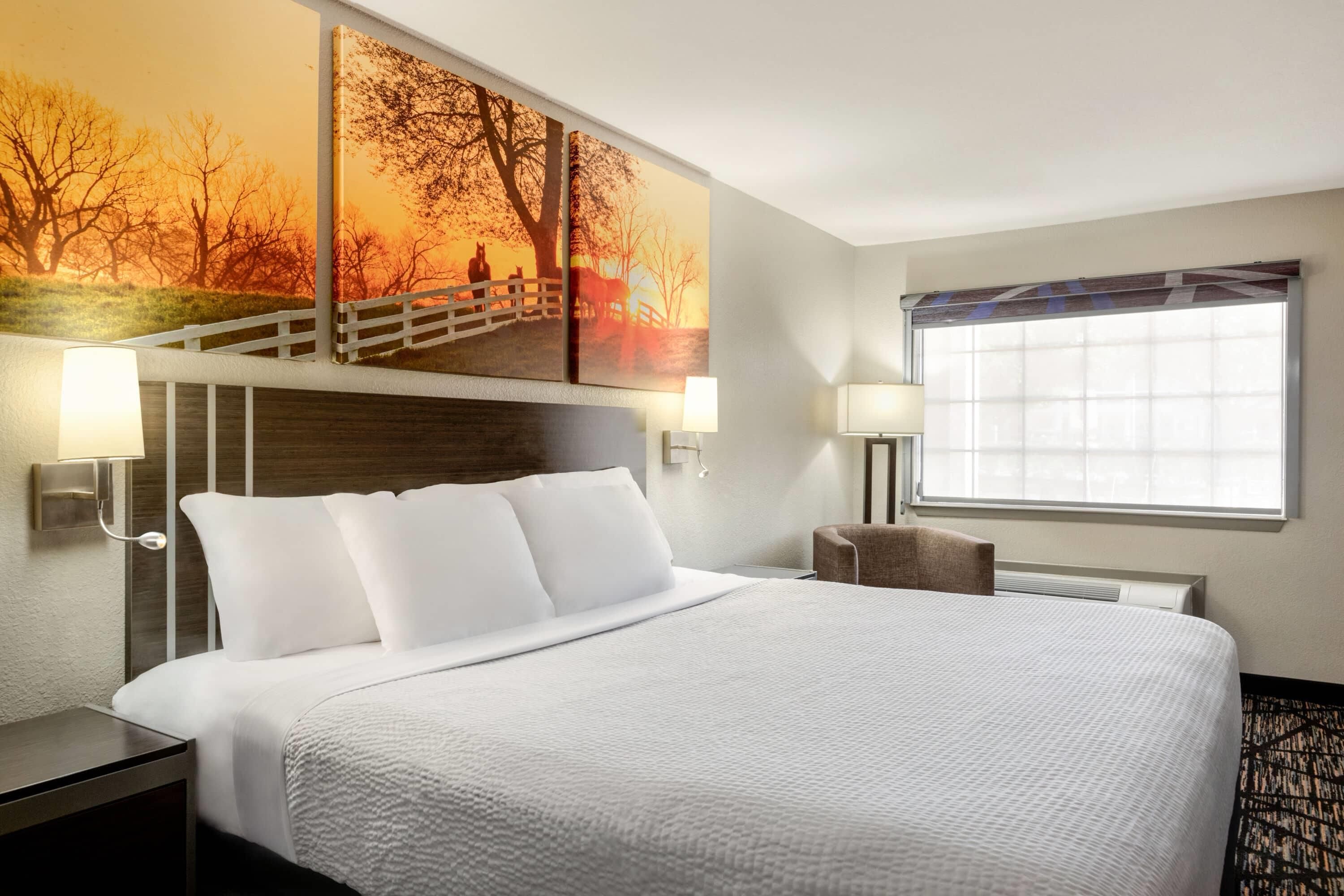 Days Inn by Wyndham San Antonio Near Fiesta Park - San Antonio - Bedroom