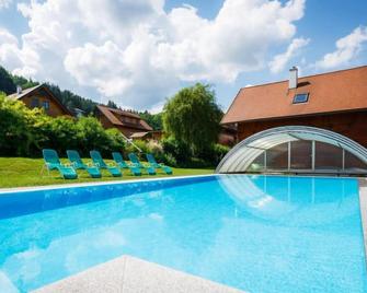 Sonnleiten by Interhome - Schlierbach - Piscina