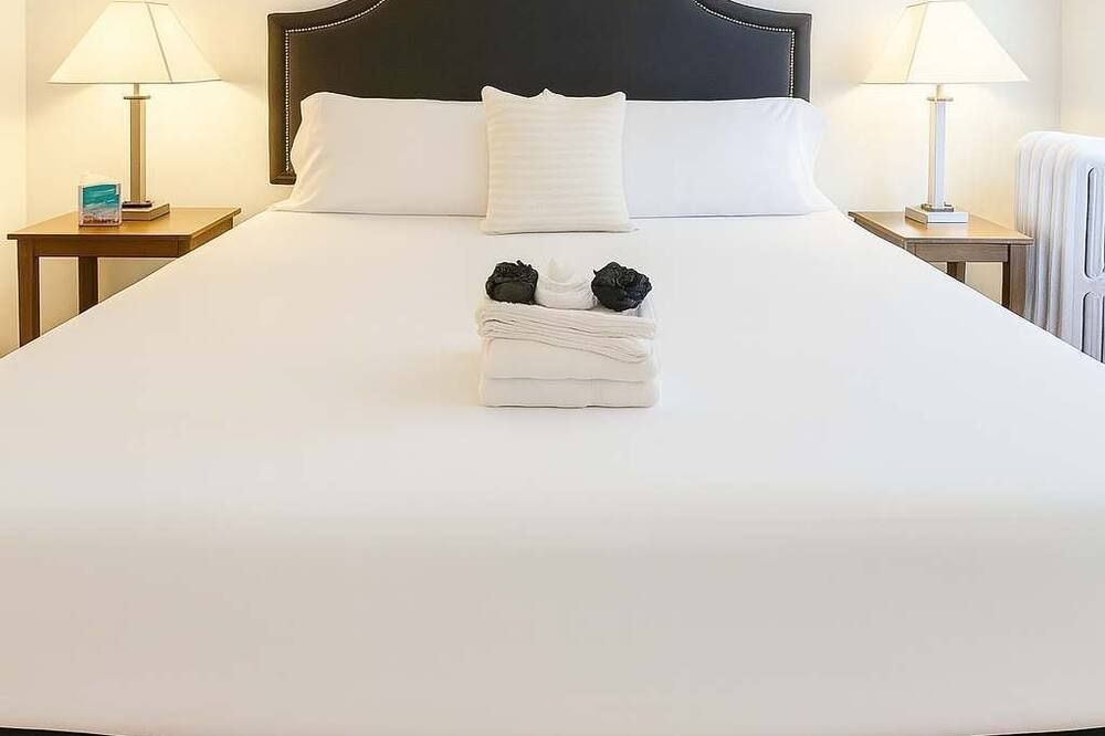 1br Well-Equipped Apartment - שיקאגו - חדר שינה