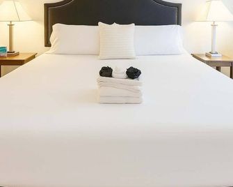 1br Well-Equipped Apartment - שיקאגו - חדר שינה