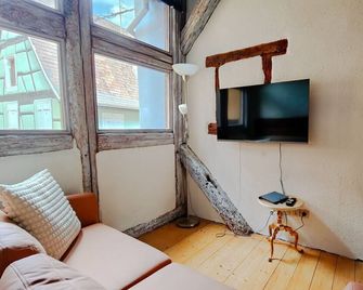 La Maison Bleue - Historic House in the Heart of Riquewihr - Riquewihr
