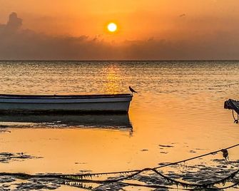 Mango Beach House - Jambiani