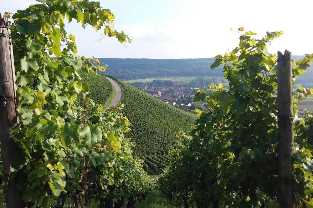 Kachelofa - Mühlacker - Außenansicht