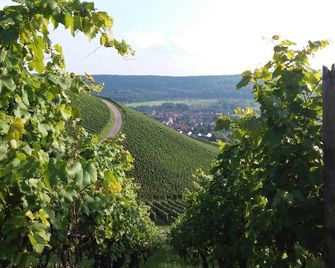 Kachelofa - Mühlacker - Vista del exterior