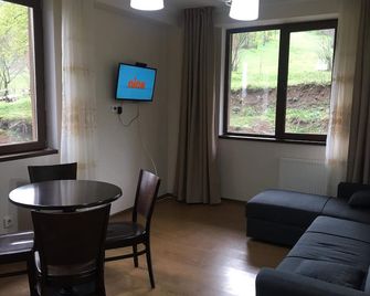 Bakuriani cheap apartment in ski resort - Bakuriani - Living room