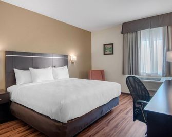 Econo Lodge Inn & Suites Springfield Main Street - Springfield - Slaapkamer