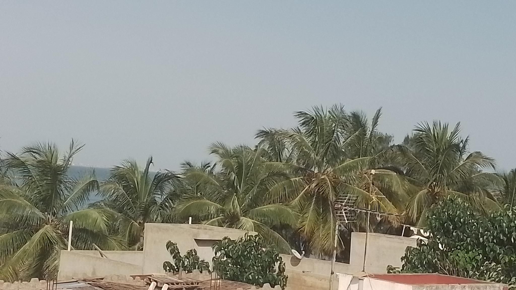 ريزيدونس أبدو ديوف 1