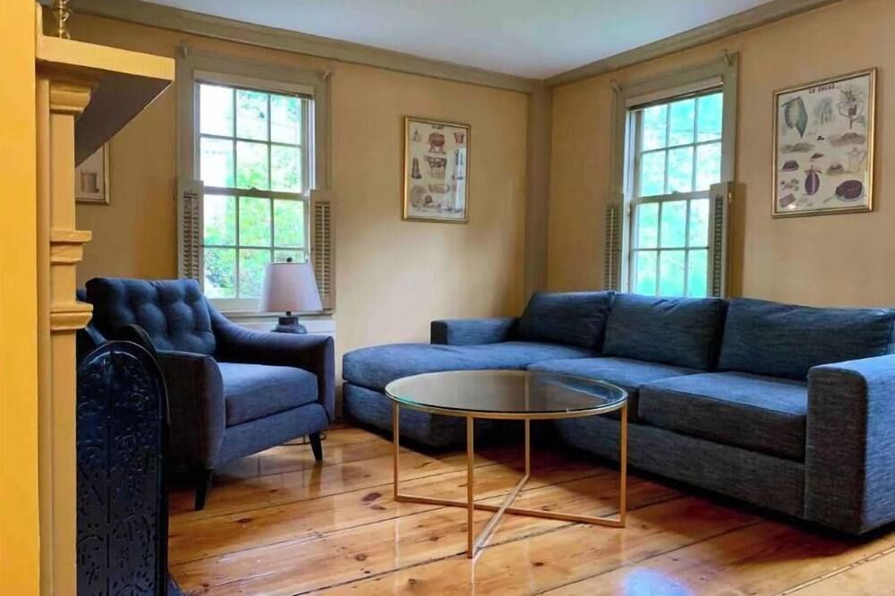 Maple Suite- Private Ground Floor Apartment in front of Smith College - Northampton - Obývací pokoj