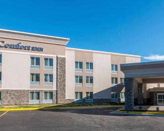 Comfort Inn Edwardsville - Edwardsville - Building