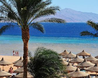 Baron Palms Resort Sharm El Sheikh (Adults Only) - Charm el-Cheikh - Plage