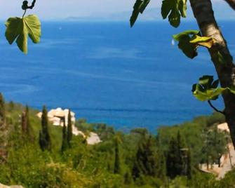 Angela Studios Paxos - Gaios