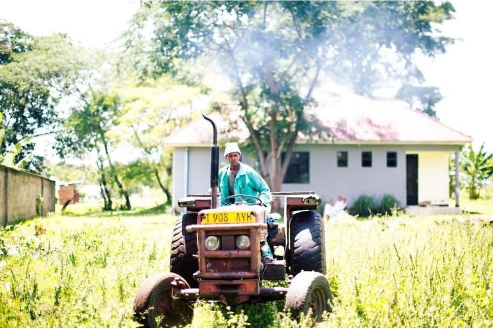 Charming Eco-Homestay near Kilimanjaro International Airport - Arusha