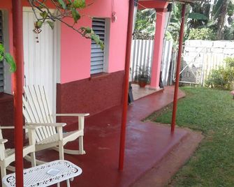 Casa Jardín Yusniel Y Lida - Viñales - Patio