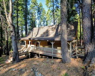 Close to Bear Valley Ski Resort, Big Trees State Park, Hiking trails, and Lakes. - Dorrington - Edificio