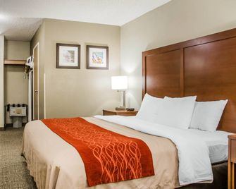 Sleep Inn Idaho Falls I-15 - Idaho Falls - Camera da letto