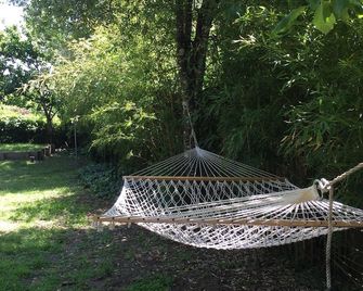 Sunny, Rustic Family Retreat. - Inverness - Patio