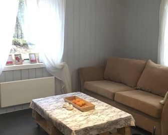 Koselig Hytte i Hemsedal - Hemsedal - Living room