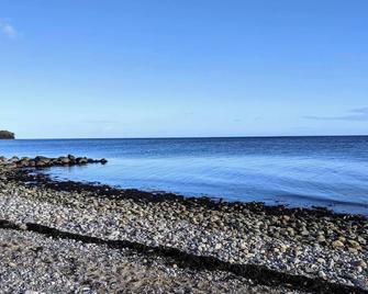 Buena Vista circus caravan, tiny house by the sea, glamping - Waabs - Beach