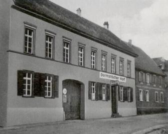 Darmstädter Hof - Maguncia - Edificio