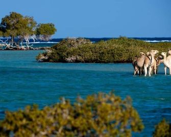 Oyster Bay Beach Suites - Marsa Alam