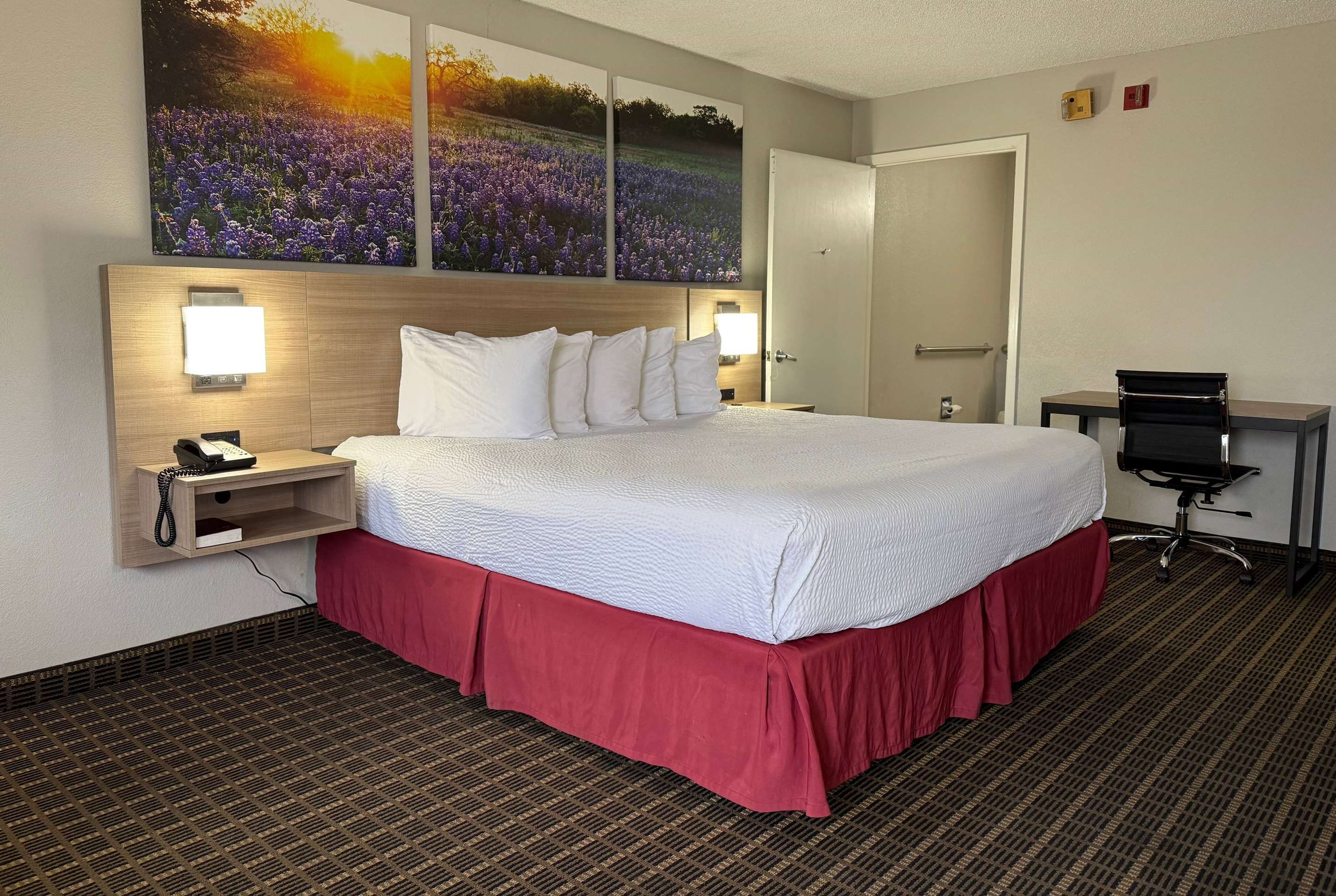 Days Inn by Wyndham Morgan's Wonderland / IH-35 N - סן אנטוניו - חדר שינה