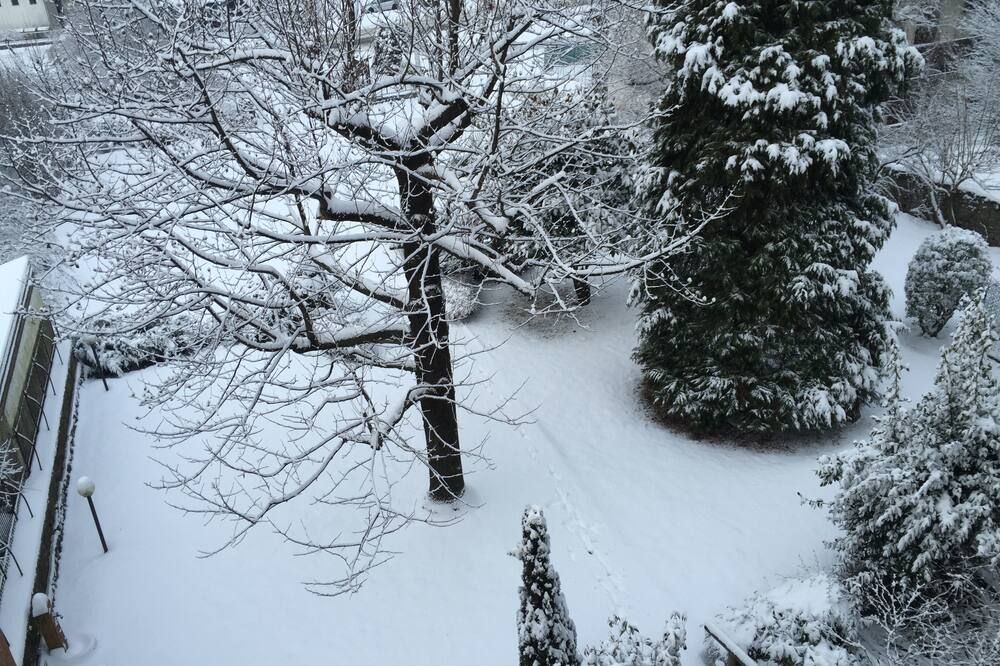 Albergo Miramonti - Arta Terme - Outdoor view