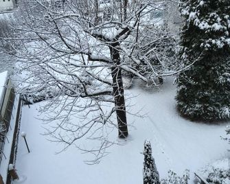 Albergo Miramonti - Arta Terme - Outdoor view