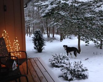Peaceful Mountain Get Away - Nellysford - Patio