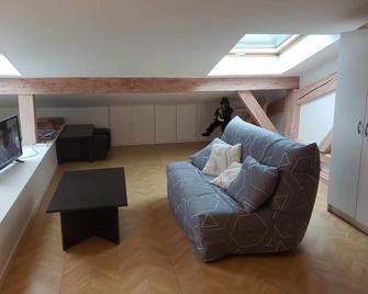 Fully renovated 45m2 apartment in lullin - Lullin - Sala de estar