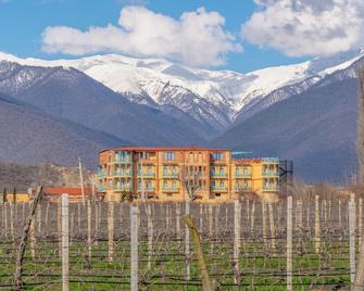 Burki Castle & Cellar - Kvareli - Building